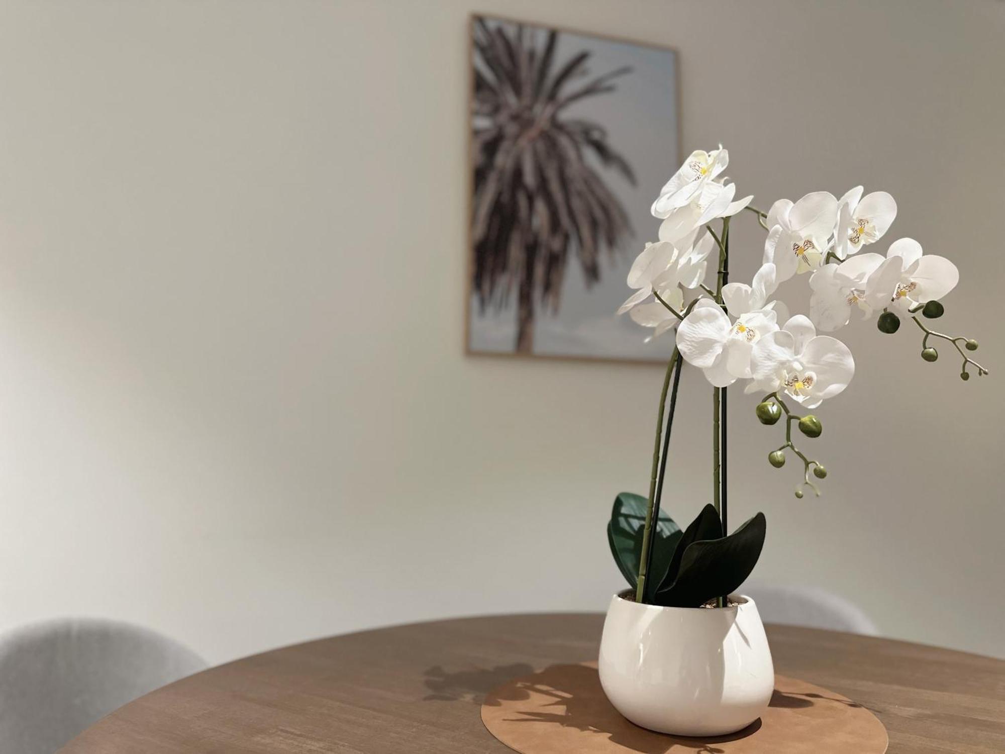 Skyline Serenity Retreat 2 Kingbedsapt Freeparking * Brisbane