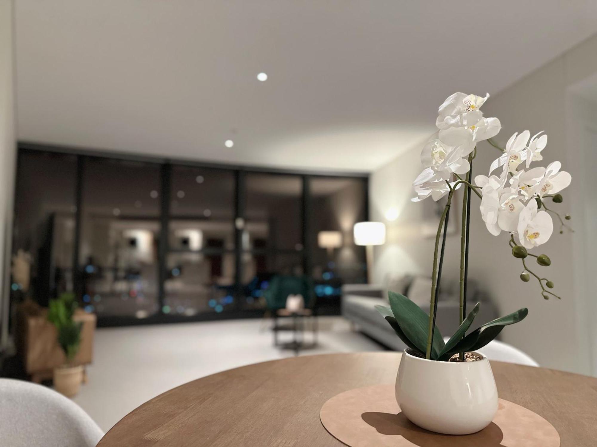 Skyline Serenity Retreat 2 Kingbedsapt Freeparking *